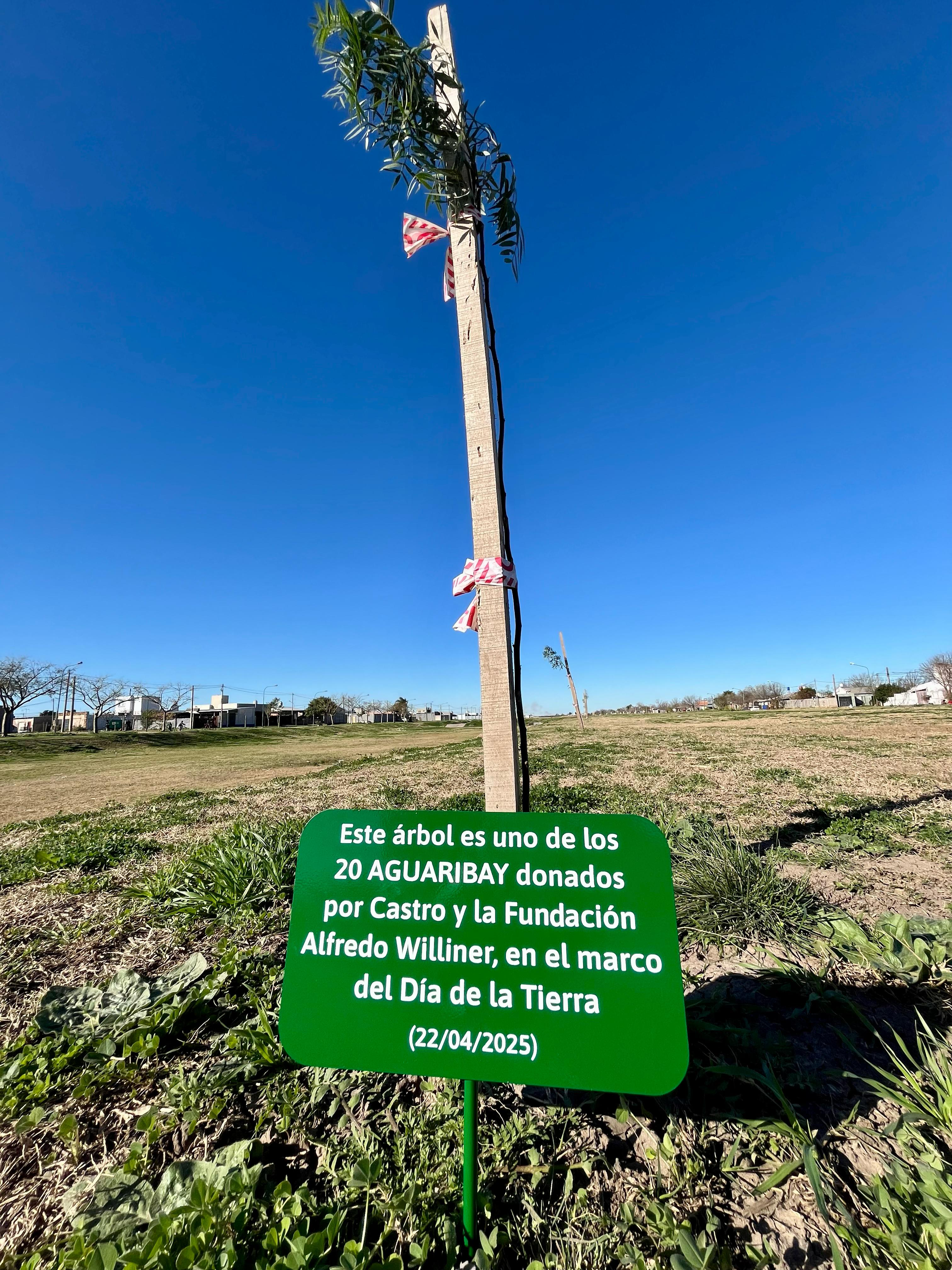 Día de la Tierra: Plantación de 20 árboles en el barrio Mora junto a Castro y el Instituto para el Desarrollo Sustentable, y en la localidad de San Justo.